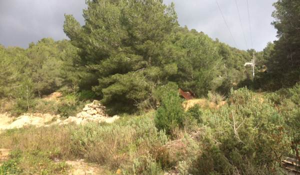 Large plot from 49800 m2 with view to Dalt Villa