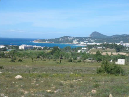 Large land for sale in San Agustin