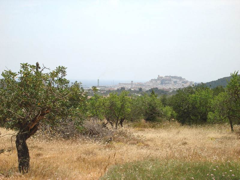 Large land in Ibiza San Rafael for sale