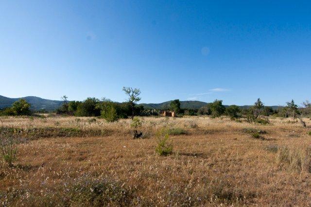 Large plot for sale in San Carlos