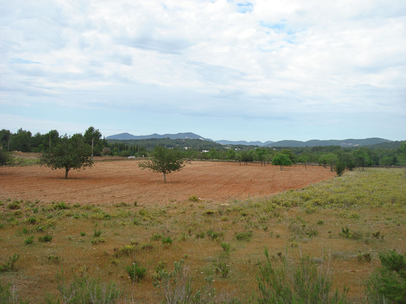 Flat plot in San Carlos Santa Eulalia sale