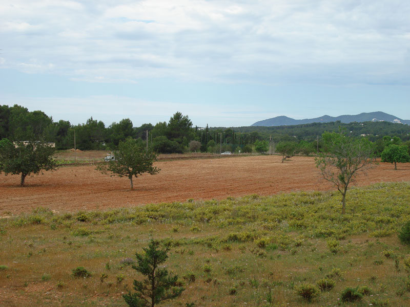 Flat plot in San Carlos Santa Eulalia sale