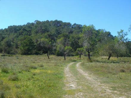 Large land for sale in San Agustin