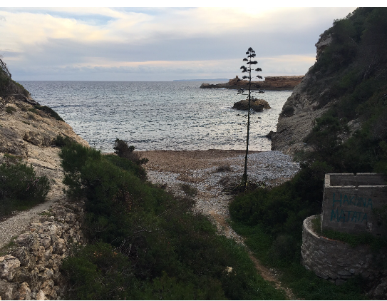 Plot with sea access to small secluded beach cap Martinet