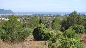 Project for sale with 15000m2 land and 420m2 of living space