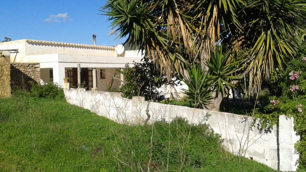 The last finca with very large plot of 46.000 m2