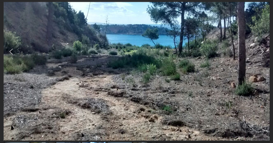 Plot in Vista Alegre with 11.200m2 with access to the sea