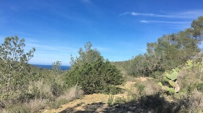 Finca for sale in Cala Vadella with 40.000m2 land