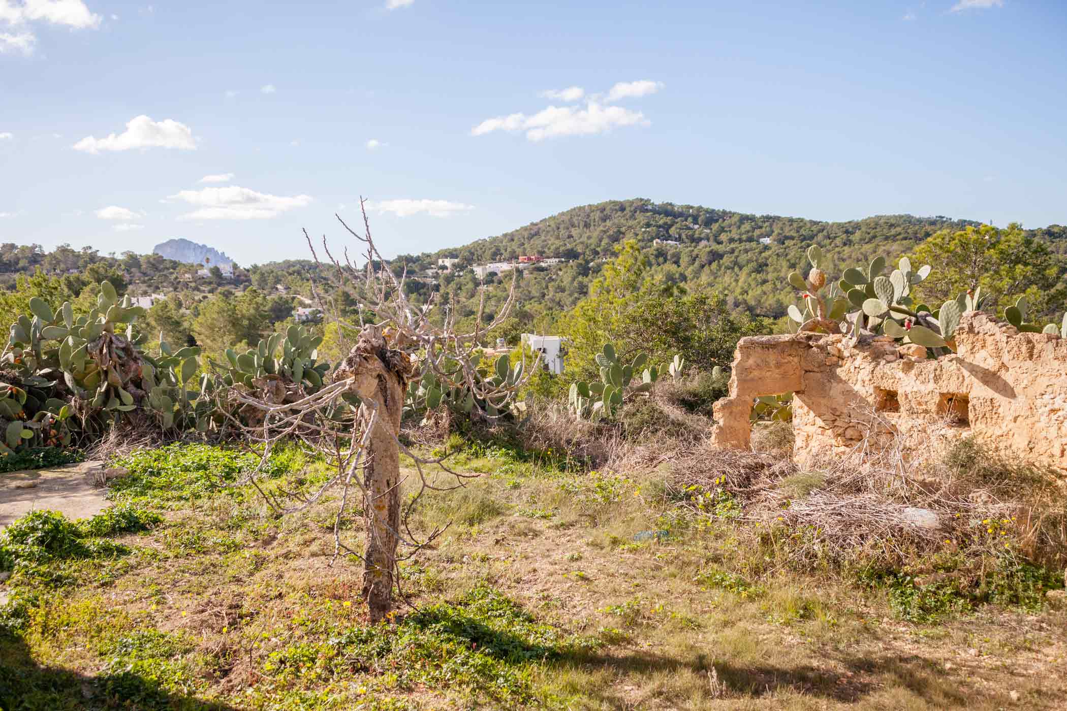 Rural finca in Sant Josep de Sa Talaia with sea views