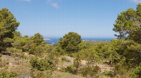 Beautiful land with project located in Cala Tarida with sea views