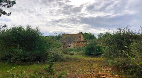 Ruin and big land of 72.000m2 in San Agustin for sale
