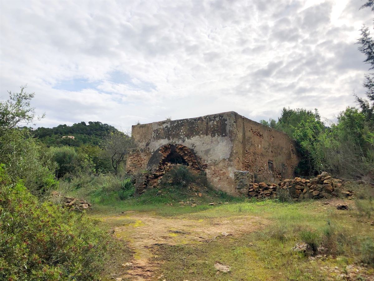 Ruin and big land of 72.000m2 in San Agustin for sale