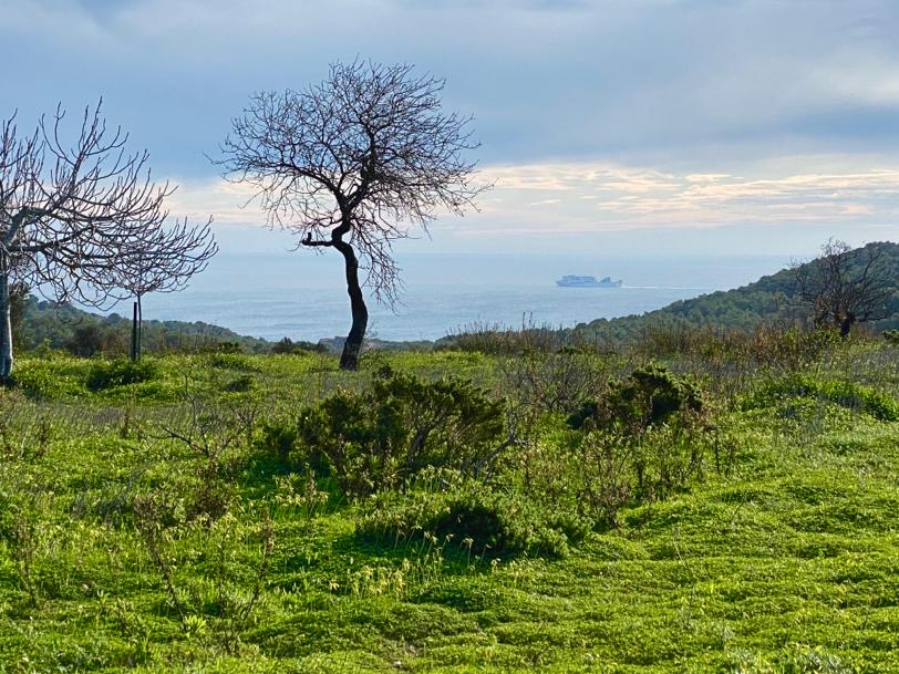 Plot of 17.000 m² with spectacular panoramic views over the sea and the green hills