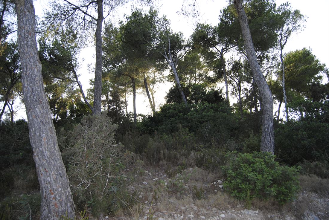 Reasonable priced plot with licence for sale in Can furnet with partial sea view