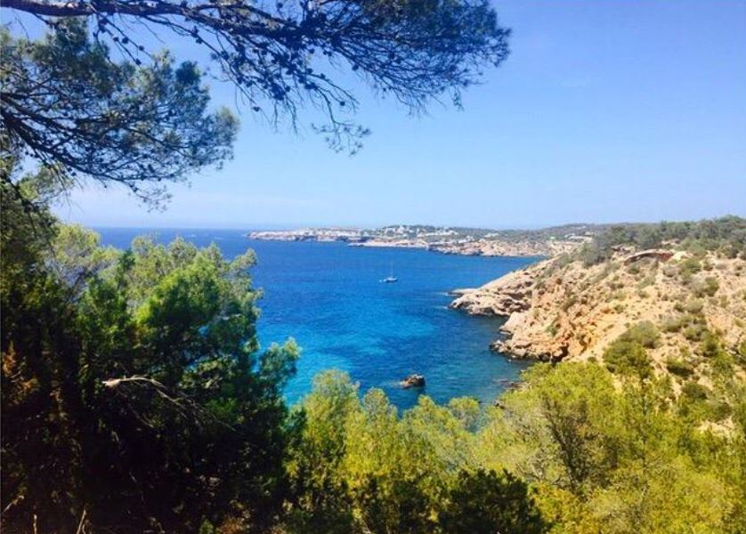 Amazing plot for 2 Villas with 900m2 in Cala Moli with licence