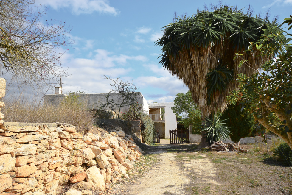 Original farmhouse nestled in unspoilt nature near San Lorenzo
