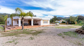Large finca with two houses in Benimussa ideal for horse lovers
