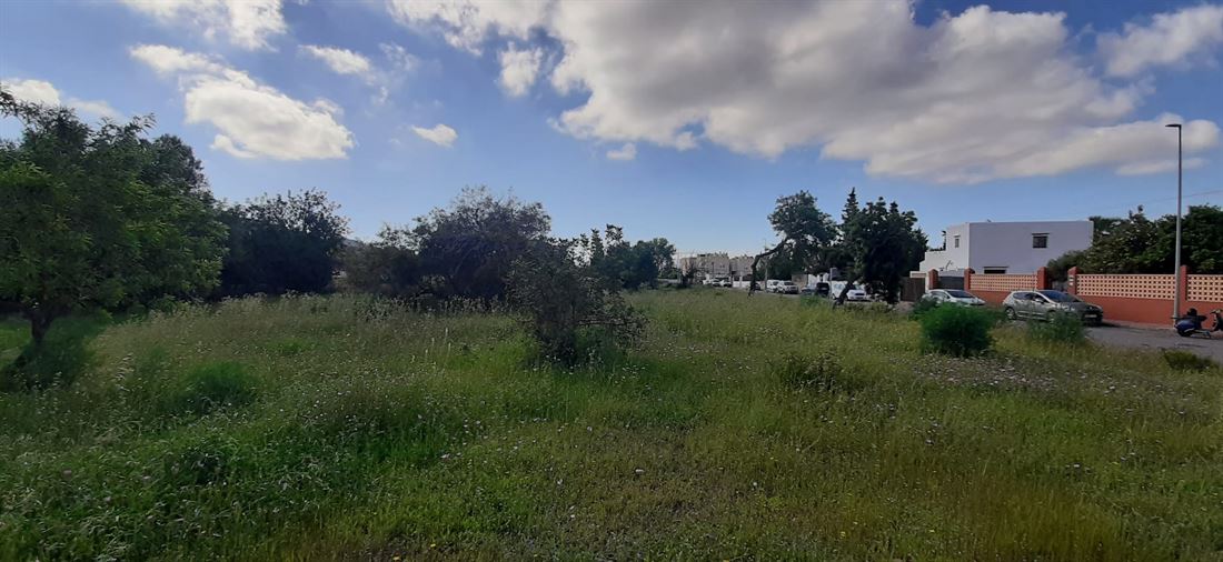 Great urban land with 2000m2 in Jesus with privacy