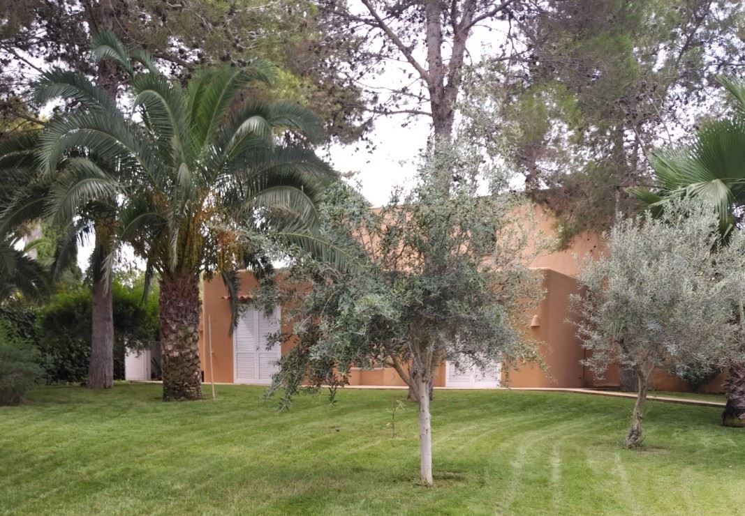 Fantastic villa with guesthouse and large garden walking distance to the beach