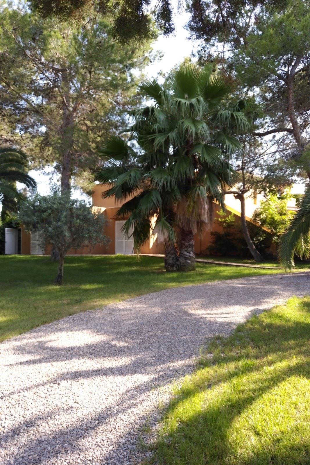 Fantastic villa with guesthouse and large garden walking distance to the beach