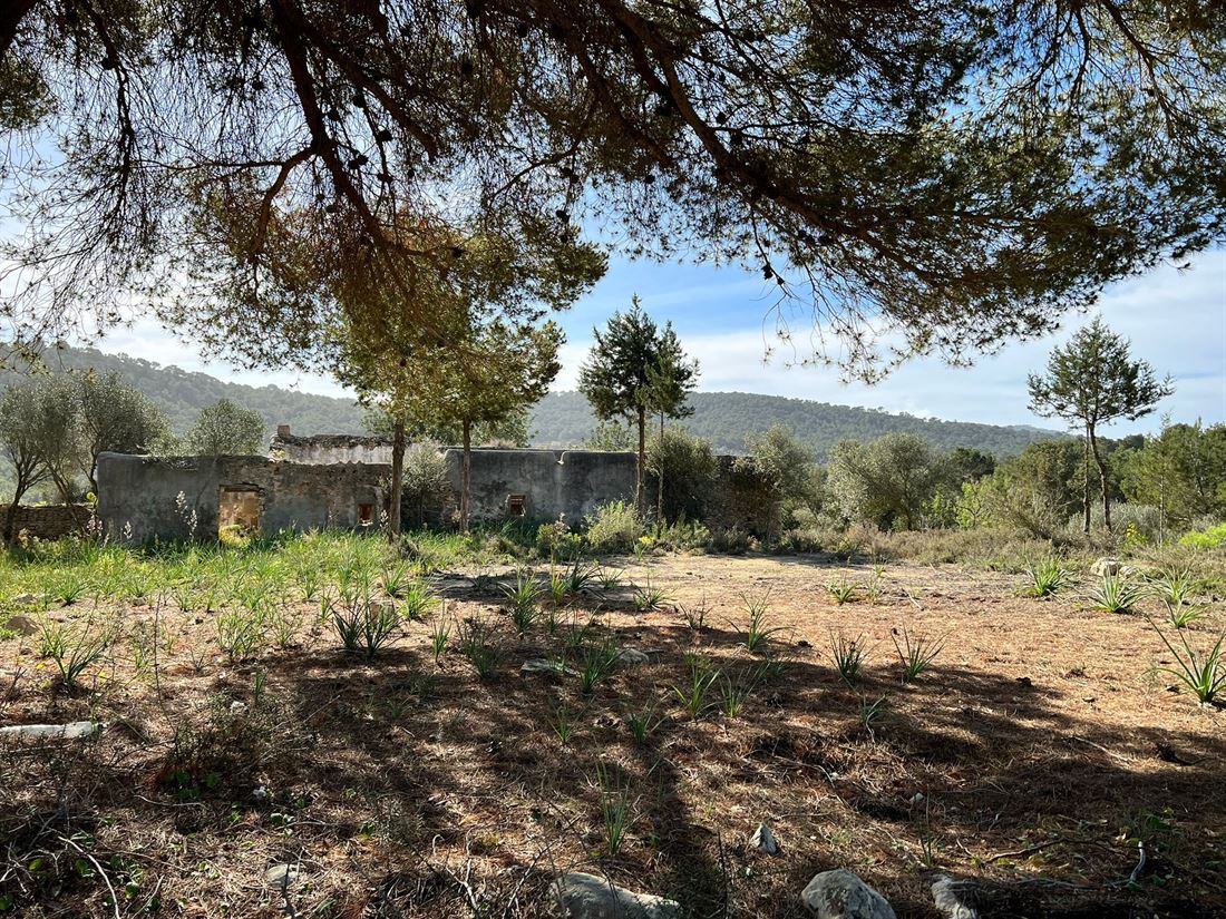 Authentic Ibicencan Finca with 136.000 m2 of land