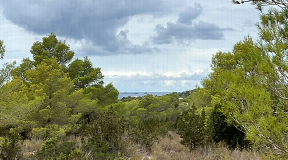 Very large land to build two nice villas with sea views and sunset in Cala Tarida