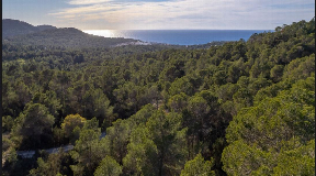 Very nice Project in Cala Tarida with Beautiful views for sale