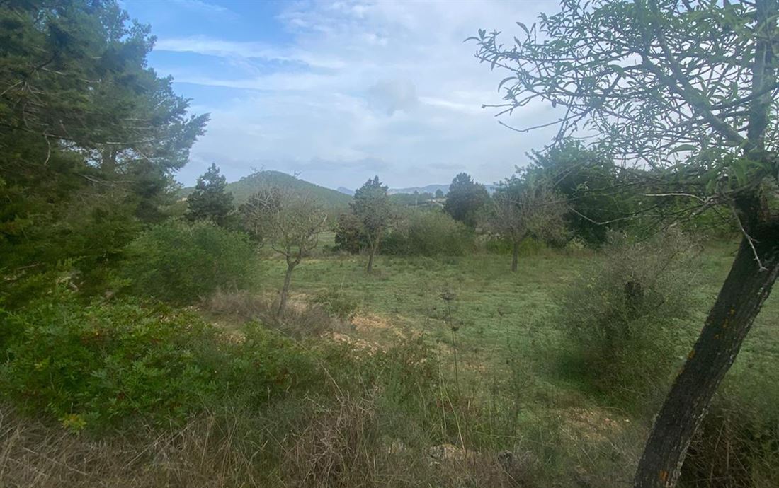 Finca for sale in San Jose with 72000 m2 land