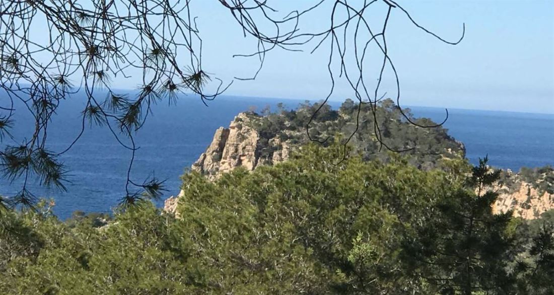 Plot for sale in Cala Salada with license