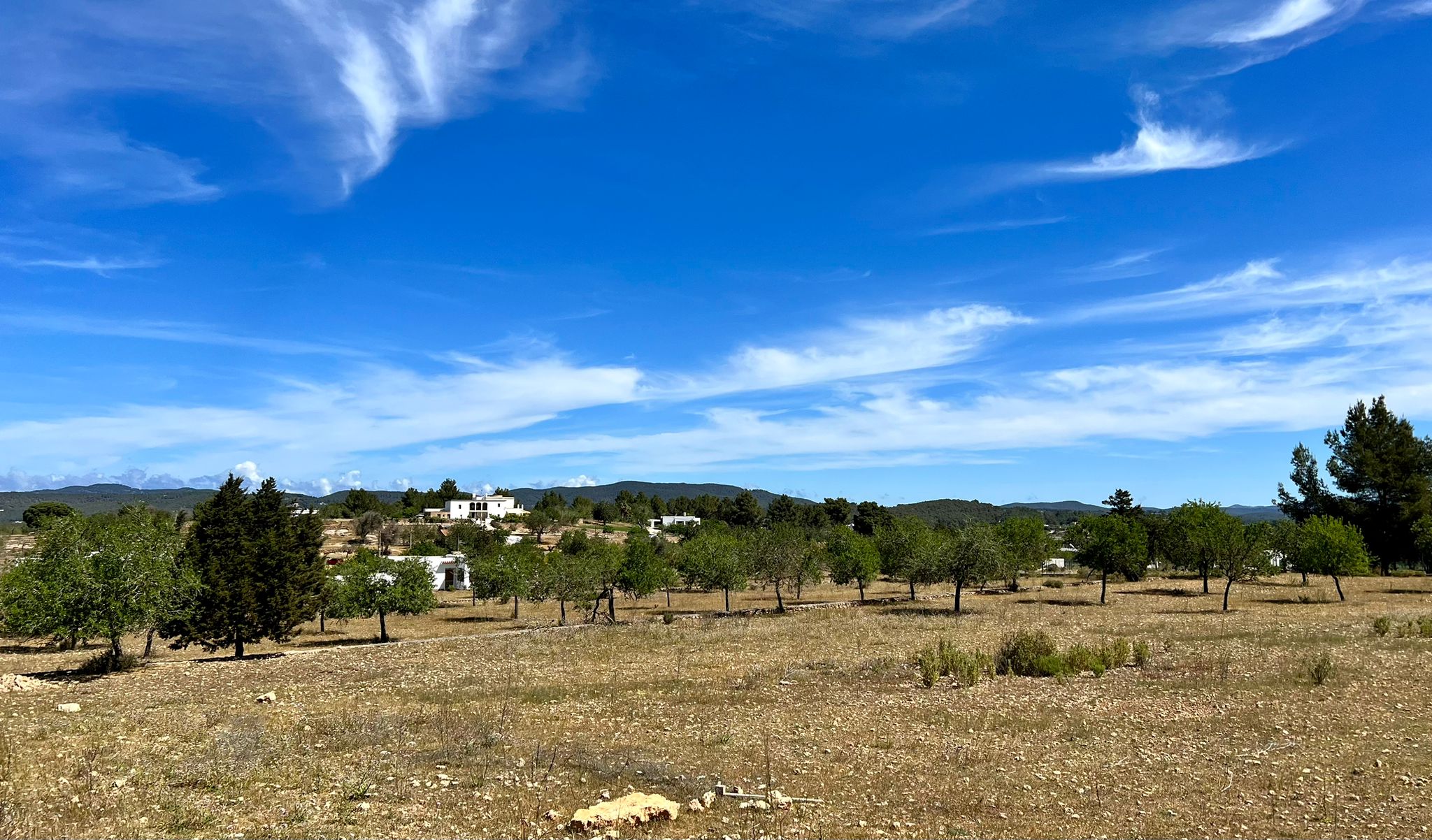Plot of 40.000 sqm in Benimussa near San Rafael with license to build requested